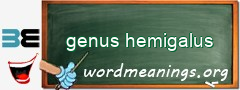 WordMeaning blackboard for genus hemigalus